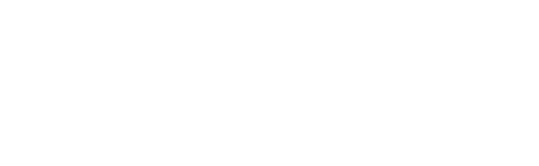 Netlight Systems